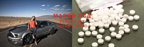 spice Новозыбков