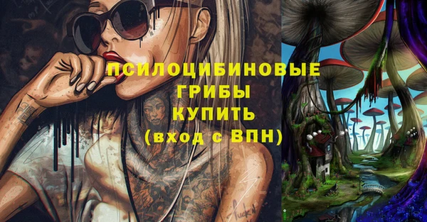 jwh Новокубанск