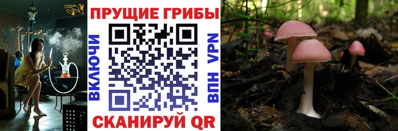 Галлюциногенные грибы Magic Shrooms  блэк спрут ONION  Любань  как найти закладки 