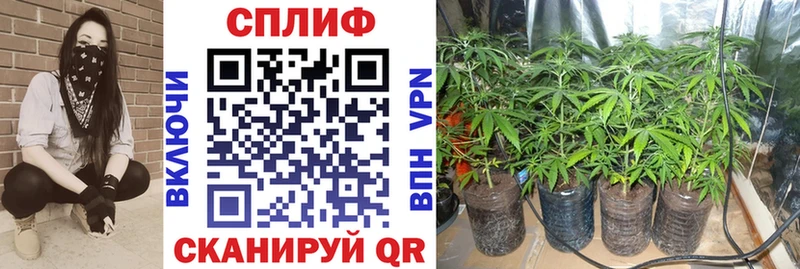 магазин продажи   Любань  МАРИХУАНА SATIVA & INDICA 